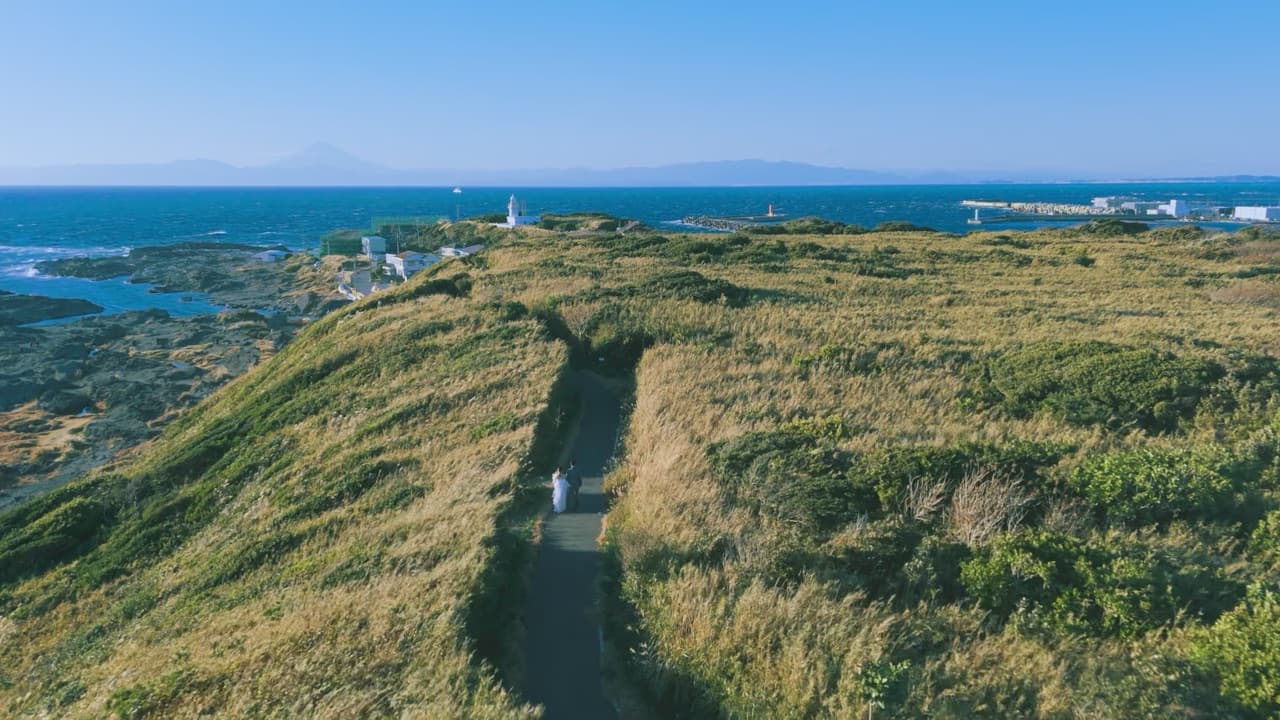 ドローン空撮 城ヶ島灯台